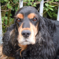 Photo de profil de nala