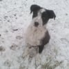 Photo de Lutti