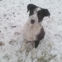 Photo de profil de Lutti