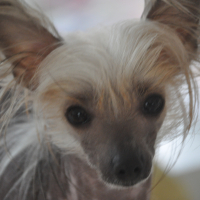 Photo de profil de Ulma