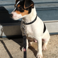 Photo de profil de Newton