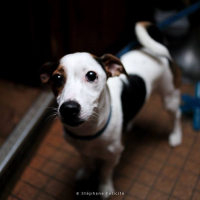 Photo de profil de Jack