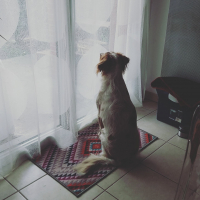 Photo de profil de Moustik