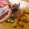 Photo de MEÏKO