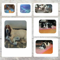 Photo de profil de Hestina