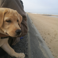 Photo de profil de Nina