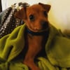 Photo de Nomie