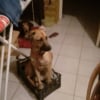 Photo de Xena