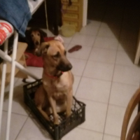Photo de profil de Xena