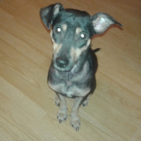 Photo de profil de Holie