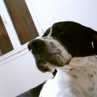 Photo de profil de milou