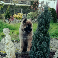 Photo de profil de Naori
