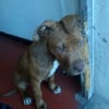 Photo de Pikie
