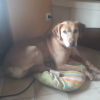 Photo de Zora 