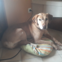 Photo de profil de Zora 