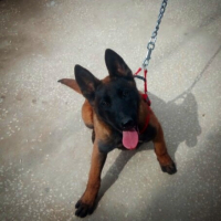 Photo de profil de Daniella