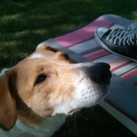 Photo de profil de Gilka