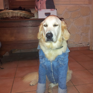 Photo de profil de Holly
