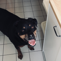 Photo de profil de Bouba