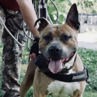 Photo de profil de Nemo