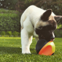 Photo de profil de Aaron