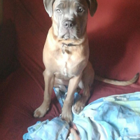 Photo de profil de Naïka