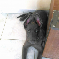 Photo de profil de Madja