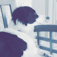 Photo de profil de Lasky 