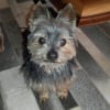 Photo de Vick