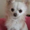 Photo de Japy