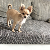 Photo de profil de Môo 