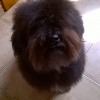 Photo de profil de Hawk