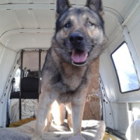 Photo de profil de Bacchus