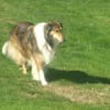 Photo de Indy
