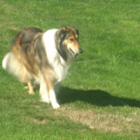 Photo de profil de Indy