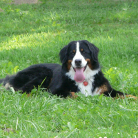 Photo de profil de Mitsiki