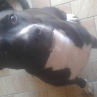 Photo de profil de Kiara