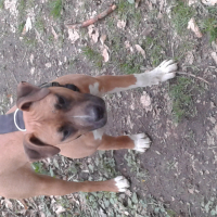 Photo de profil de Nessa 