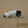 Photo de urius 