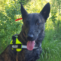 Photo de profil de Doerak