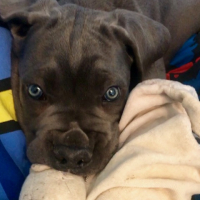 Photo de profil de hiro