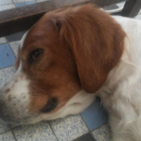 Photo de profil de Valse