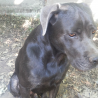 Photo de profil de Bruthus