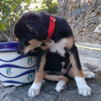 Photo de profil de ELSA