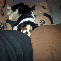 Photo de profil de Lilo