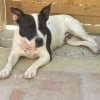Photo de Mayka