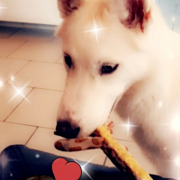 Photo de profil de LUKY