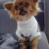 Photo de felix