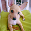 Photo de PAKO