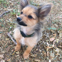 Photo de profil de Obiwan